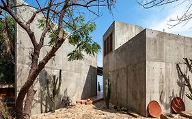 Casa del sapo
